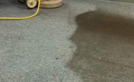 FB_IMG_1689097796067