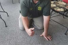 20170718_174525_resized