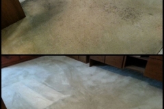 Before and after alex