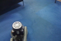 commercial carpet RX-20