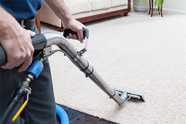 Carpet Cleaning