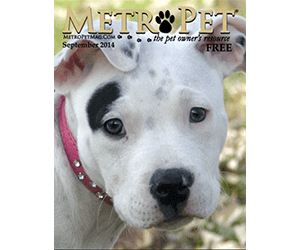 Metro Pet Magazine