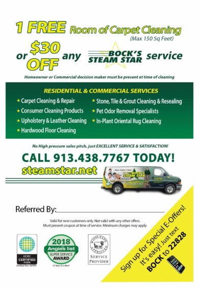 1 Free Area of Carpet Cleaning