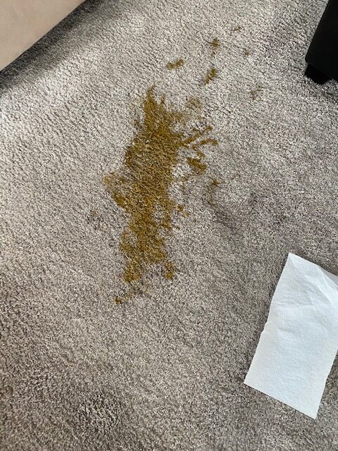Residential Carpet Cleaning in Parkville