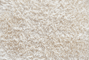 carpet cleaning in Lee’s Summit