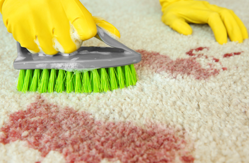 Carpet Cleaning in Lee’s Summit