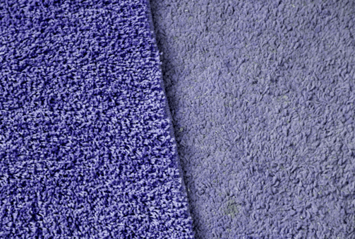 Carpet Cleaning in Lee’s Summit