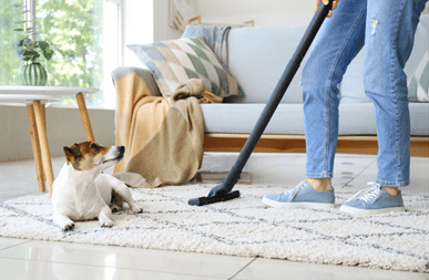 Residential Rug Cleaning in Lee's Summit