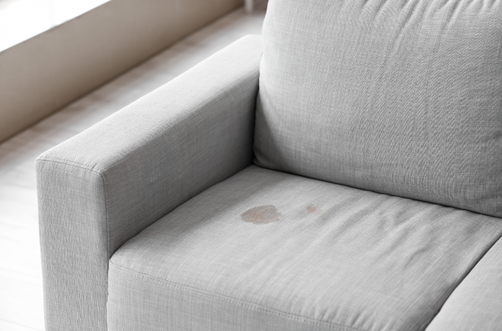 Upholstery Cleaning in Lee’s Summit 