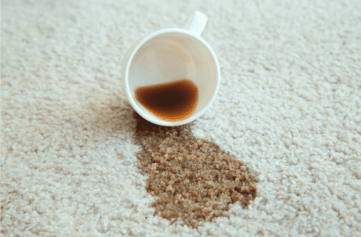 Carpet Cleaning in Prairie Village