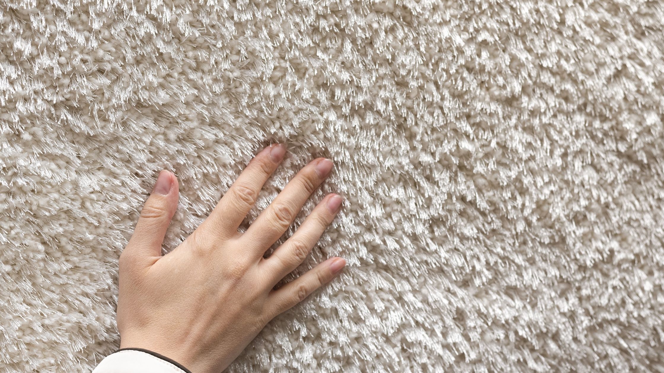 Carpet Cleaning in Lee's Summit