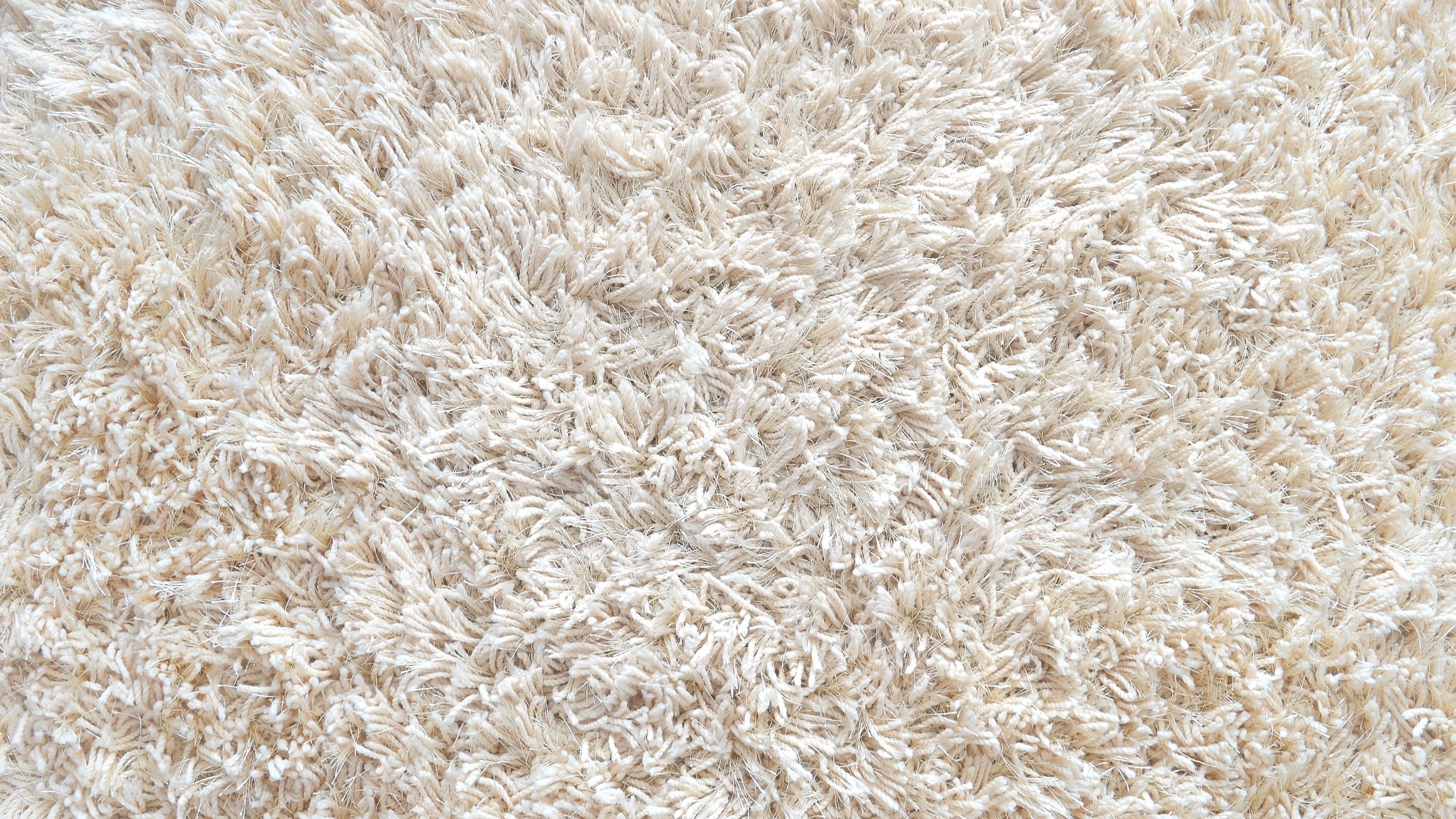 School Carpet Cleaners in Overland Park