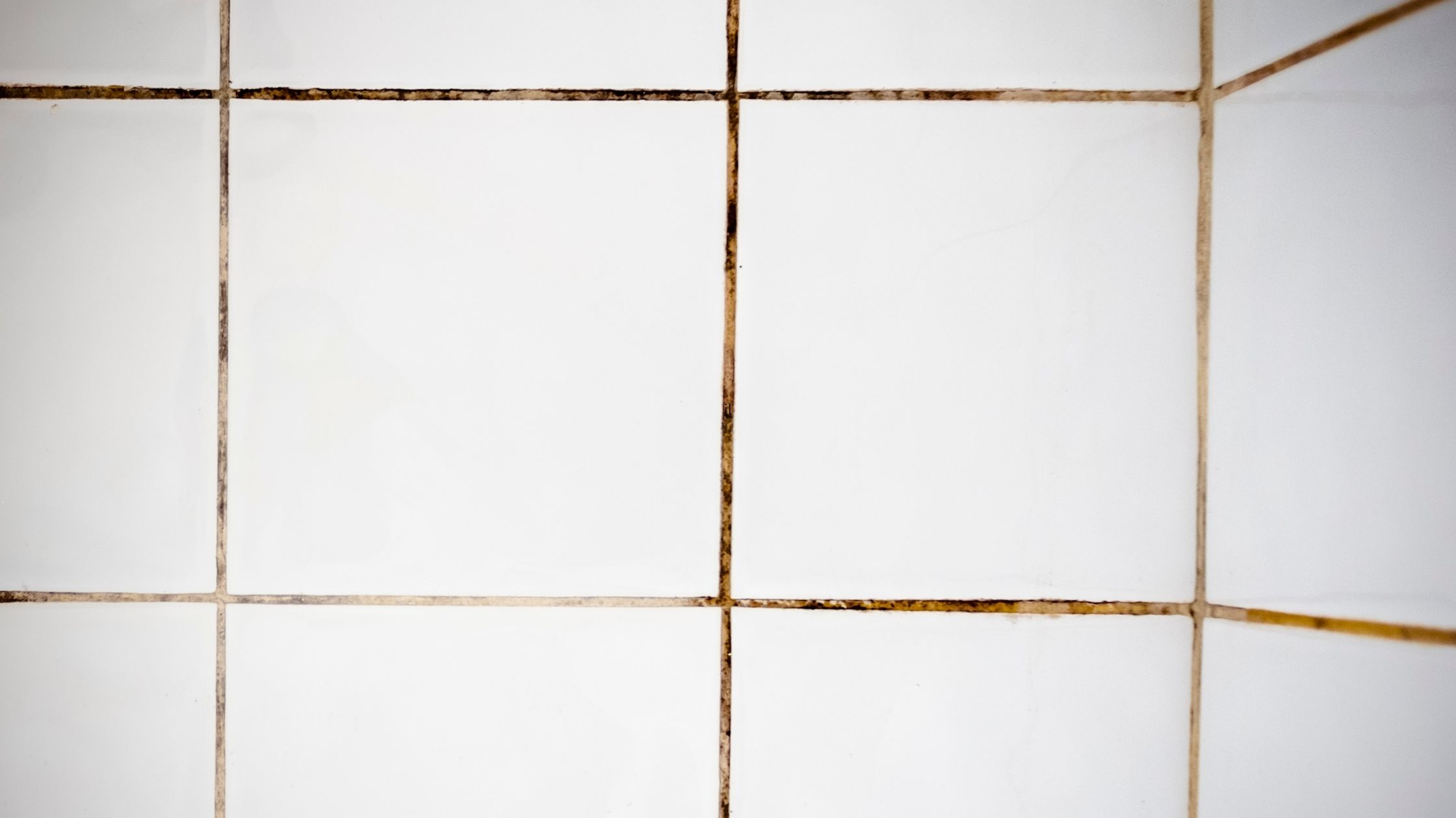 Tile and Grout Cleaning in Prairie Village