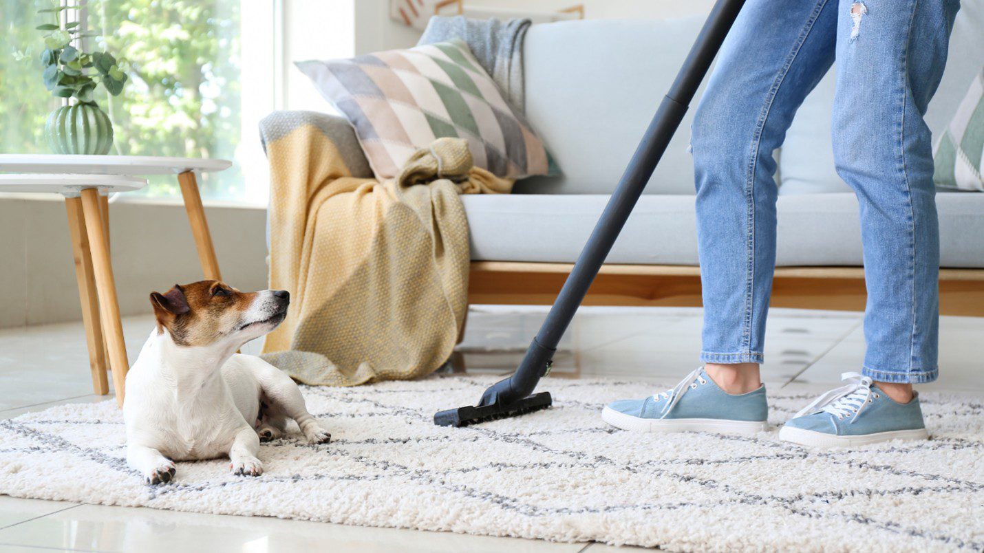 Pet Odor Removal in Mission Hills