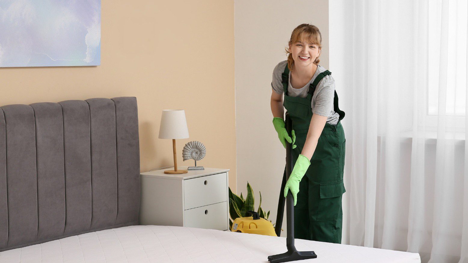 Upholstery Cleaning Mission Hills