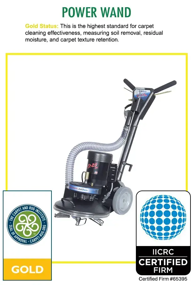 Carpet Cleaning in Lee's Summit
