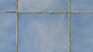 residential tile and grout cleaning in Shawnee
