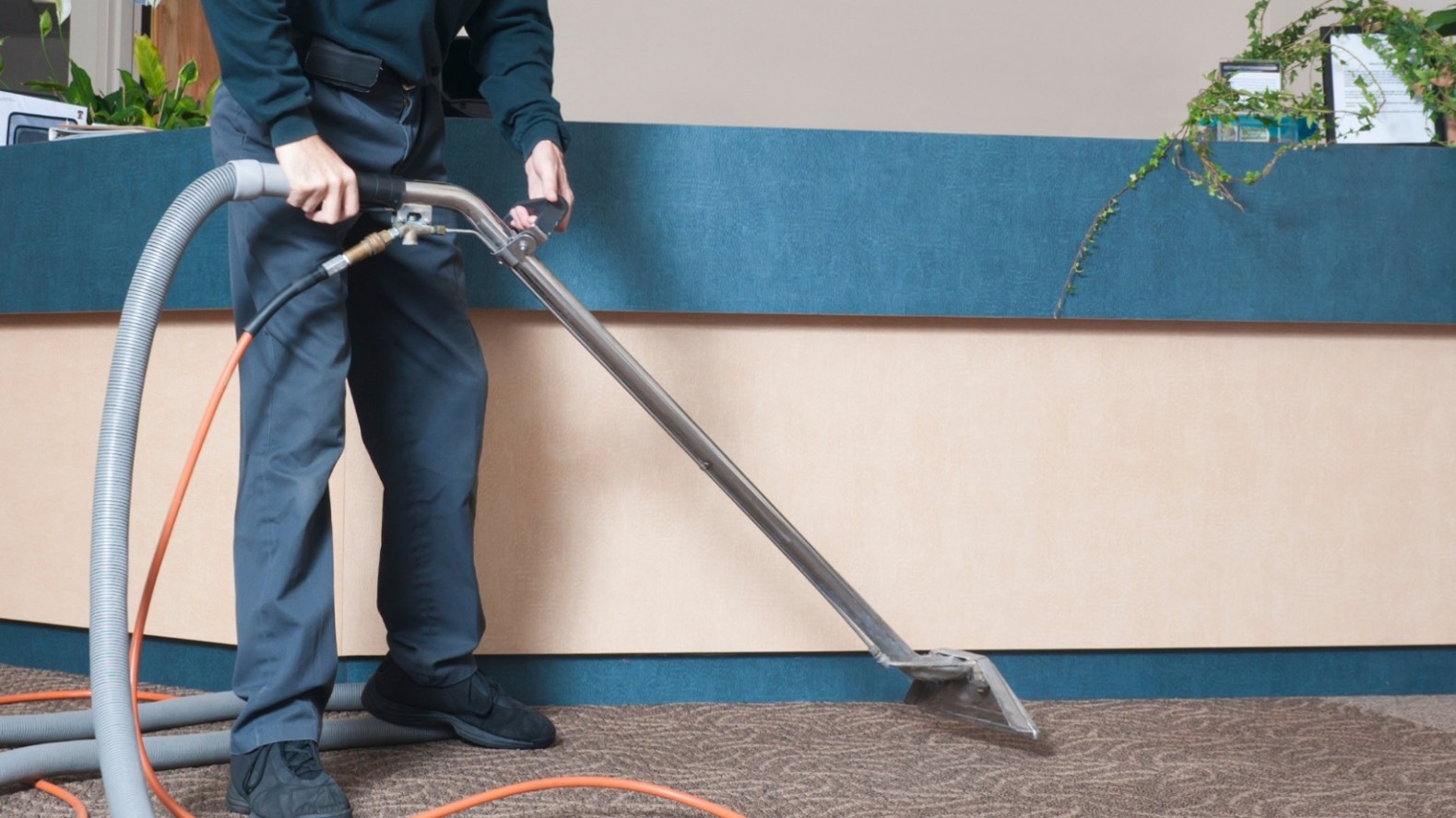Commercial Carpet Deep Cleaning in Lenexa