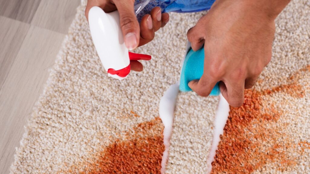 Area Rug Cleaning in Shawnee